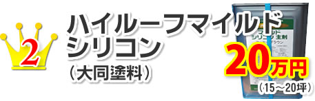 2.ハイルーフマイルドシリコン