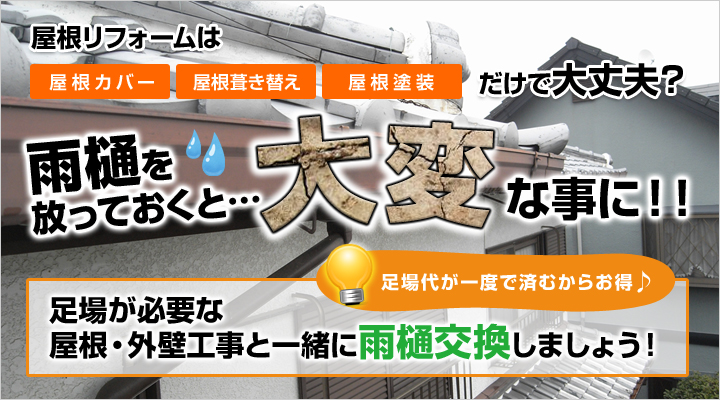 雨樋を放っておくと大変なことに
