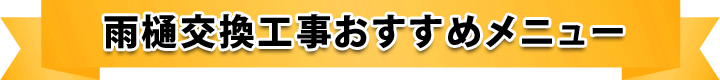 雨樋交換工事おすすめメニュー