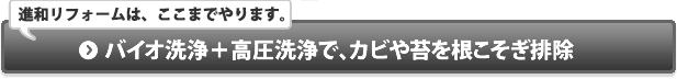 バイオ洗浄＋高圧洗浄でカビや苔を根こそぎ排除