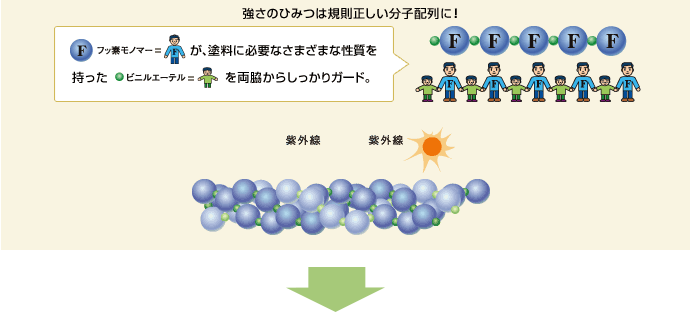 強さの秘密は規則正しい分子配列に!
