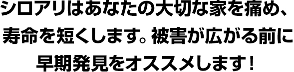 シロアリはあなたの大切な家を痛め、寿命を短くします。
被害が広がる前に早期発見をオススメします!